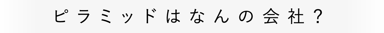 ピラミッドはなんの会社？